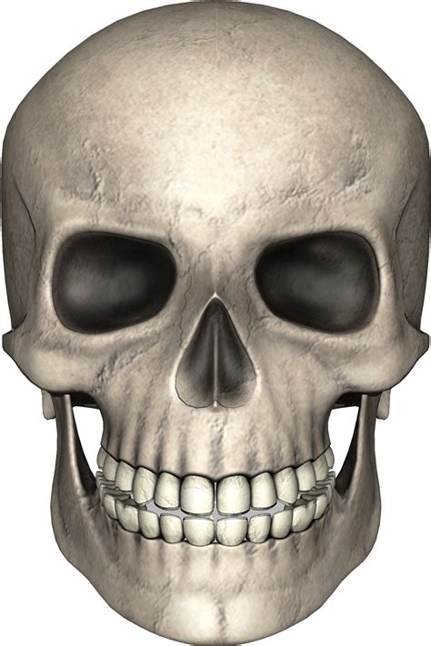 Skull PNG & Download Transparent Skull PNG .